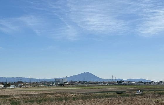 居室からの眺め